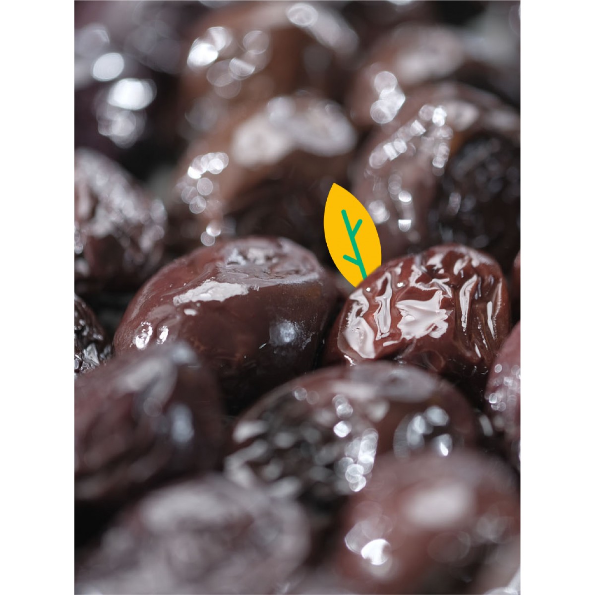 SİYAH GEMLİK ZEYTİN (261-290 KLB) 500Gr