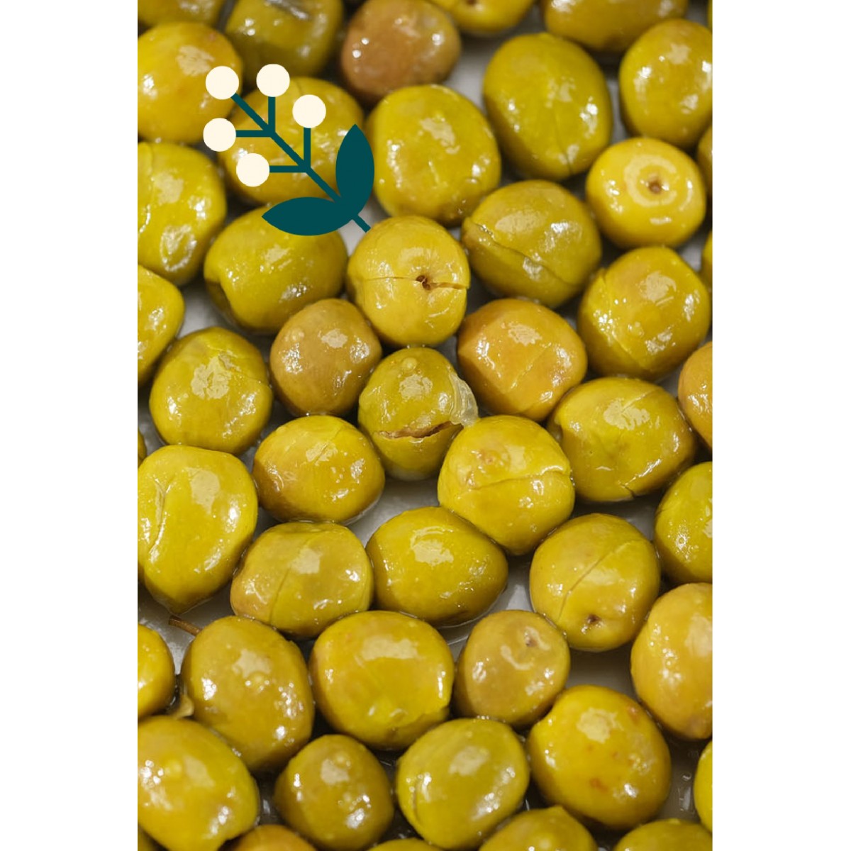 YEŞİL ANTAKYA ZEYTİN (570 GR )